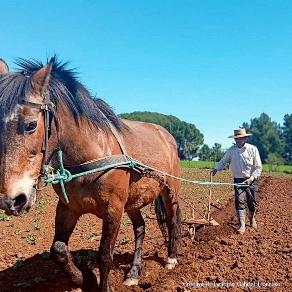 Agricultor agroecologico